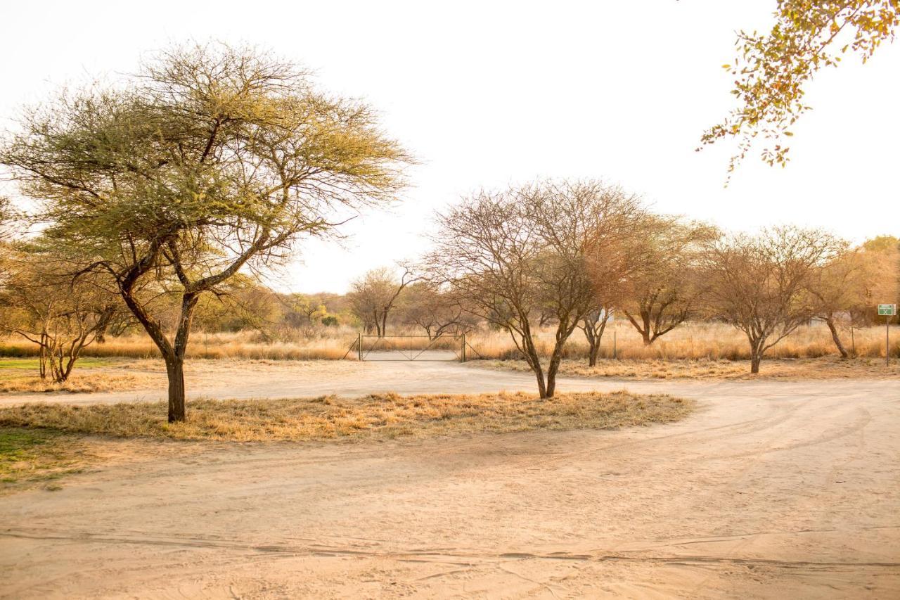 Woodlands Stop Over And Lodge Francistown Exteriör bild